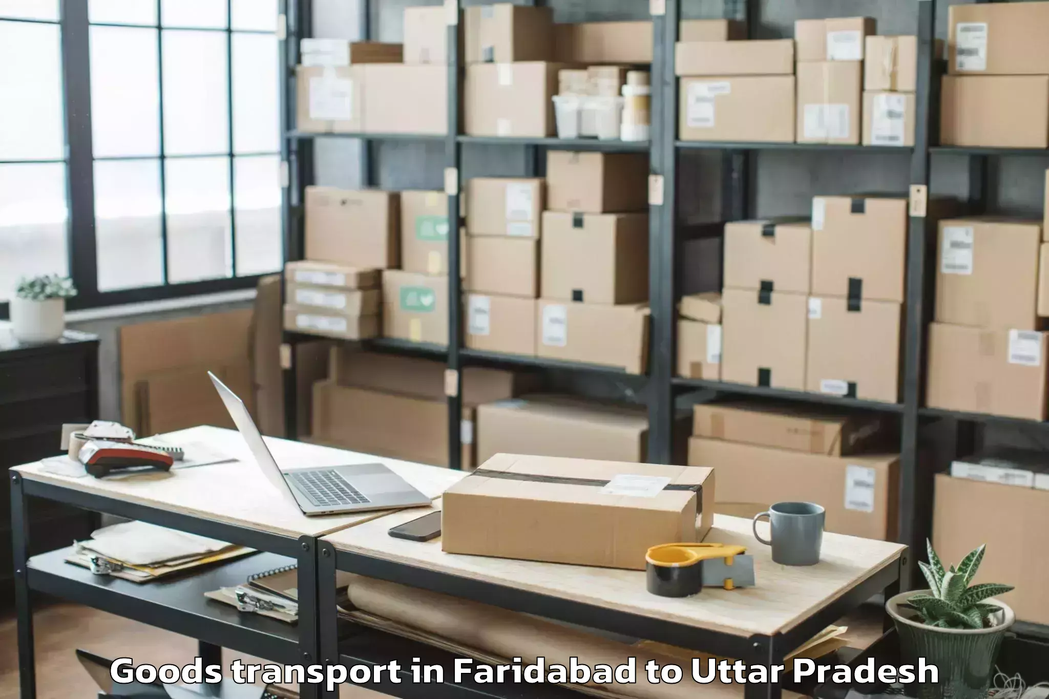 Book Faridabad to Gulaothi Goods Transport